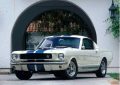 nr22-ford-mustang-shelby-gt350-1965